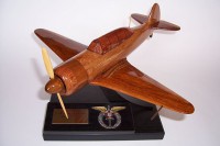 /album/fotogalerie-ruske/russische-flugzeuge-modelle-yak-11-c-11-jpg/